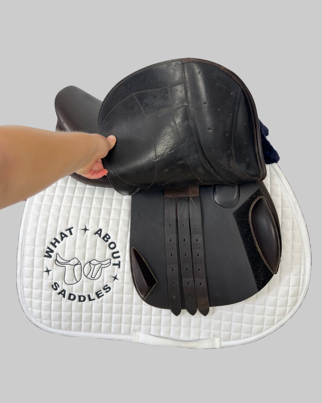Equiline EQ1